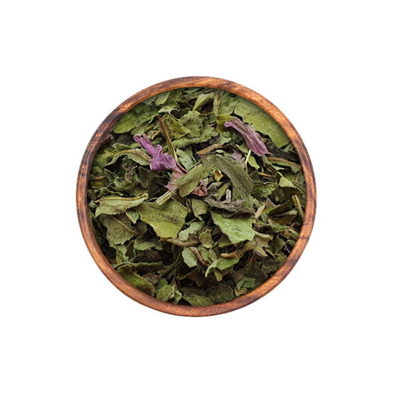 Echinacea Herb