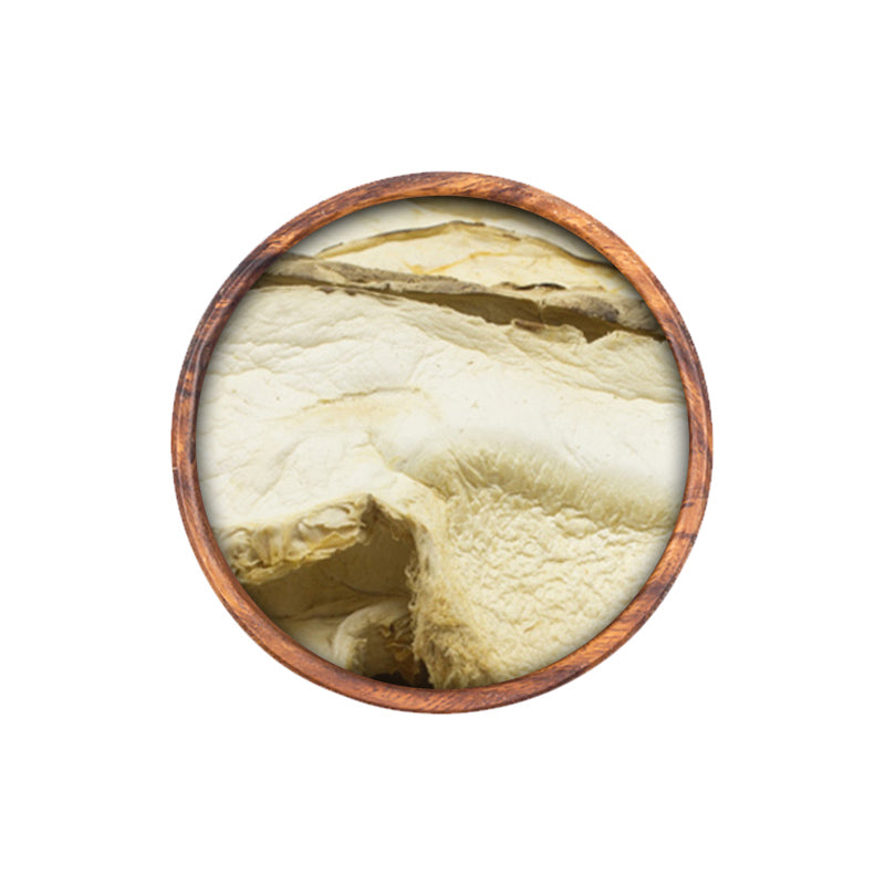 Shiitake Mushroom Herb
